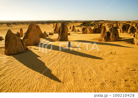 ピナクルズの影が伸びる夕景 100210428
