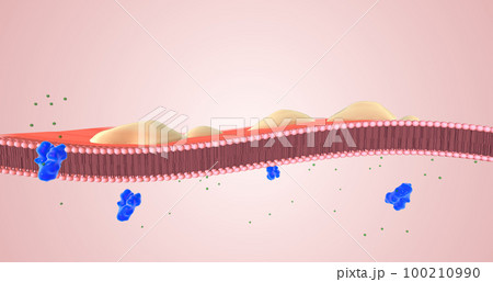 Cystic fibrosis is caused by a mutation in a protein called CFTR 100210990