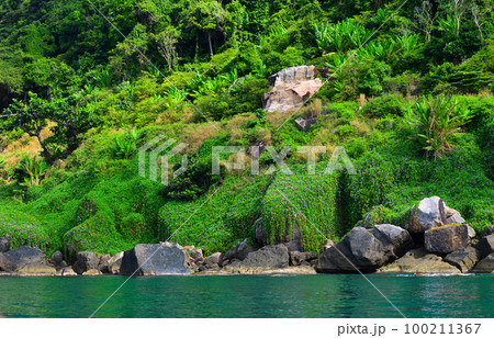 Beautiful green island in Southern Vietnam 100211367