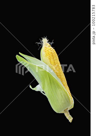 とうもろこし トウモロコシ 玉蜀黍 100215783