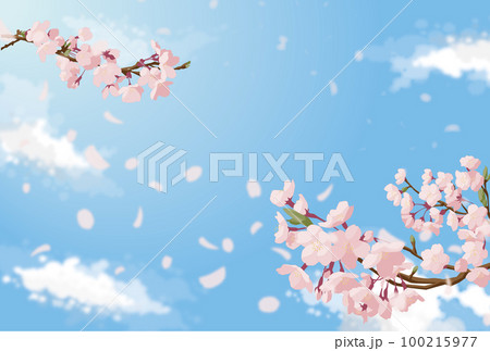 青空と桜 青空と桜 100215977