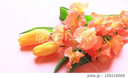 チューリップとスイートピーの花束 チューリップとスイートピーの花束 100216068