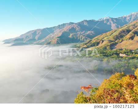 朝日に染まる紅葉の白馬八方尾根山麓をどんぐりパノラマ展望台から望む 100217125