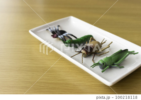 お皿に乗せた玩具の4匹の昆虫。昆虫食イメージ お皿に乗せた玩具の4匹の昆虫。昆虫食イメージ 100218118