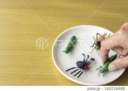 お皿に乗せた玩具の4匹の昆虫と男の手。昆虫食イメージ 100218488