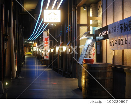 新橋-有楽町　ガード下（銀座裏コリドー通り）の夜景 100220607