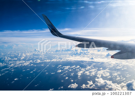 ハルシオン 楽園 パラダイス 100221307