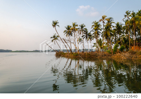 Backwaters of Kemmanu delta 100222640