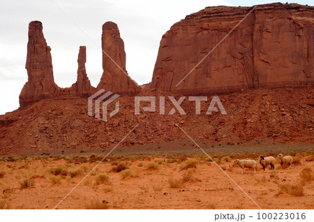 Desolate Monument Valley Arizona USA Navajo Nation with Sheep Desolate Monument Valley Arizona USA Navajo Nation with Sheep 100223016