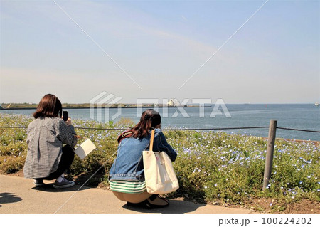 ネモフィラを撮影するカメラ女子 100224202