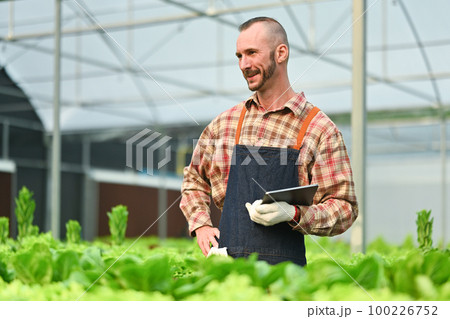 Image of smart farmer using digital tablet, inspecting quality control of organic vegetables in greenhouse Image of smart farmer using digital tablet, inspecting quality control of organic vegetables in greenhouse 100226752