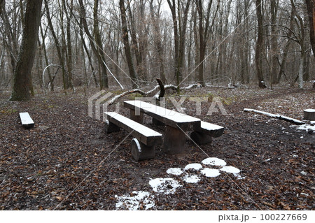 Place for a picnic table and benches in the snow, winter park in Ukraine Place for a picnic table and benches in the snow, winter park in Ukraine 100227669
