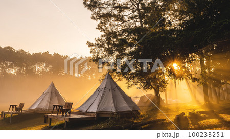 Tent camping in the morning . At Thung Salaeng Luang National Park Phetchabun Province, Thailand 100233251