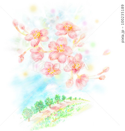 桜　並木道　水彩画 100235189