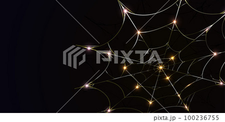 spider webs Background elegant gold can be used according to your needs 100236755