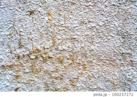 モルタル塗装の壁 横浜 モルタル塗装の壁 横浜 100237272