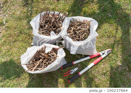 小枝のゴミ処分 100237664