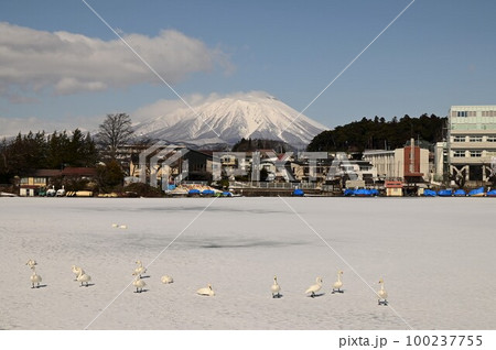高松の池から見える岩手山 高松の池から見える岩手山 100237755