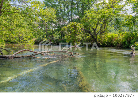 釧路川源流 初夏のカヌー行 釧路川源流 初夏のカヌー行 100237977