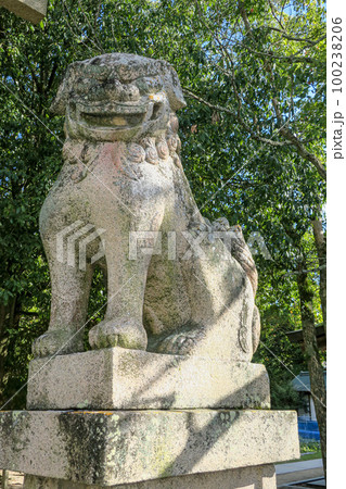 愛媛・大三島 大山祇神社 二の鳥居 狛犬 愛媛・大三島 大山祇神社 二の鳥居 狛犬 100238206