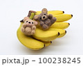 くまさんとベビースウィートバナナ 100238245