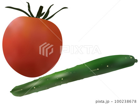 「キュウリ」一本と「完熟ミニトマト」一個 「キュウリ」一本と「完熟ミニトマト」一個 100238678