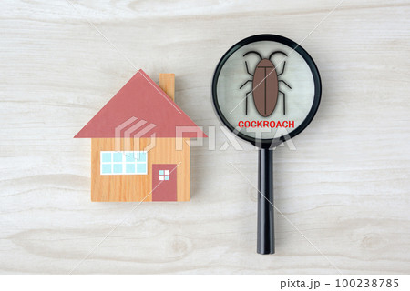 住宅とゴキブリの発見イメージ 100238785