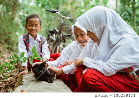 three elementary students in uniform playing with black cat three elementary students in uniform playing with black cat 100239171