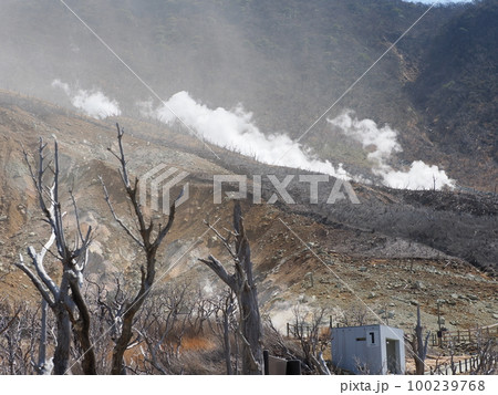 箱根　大涌谷 100239768