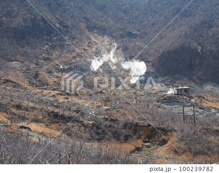 箱根　大涌谷 100239782