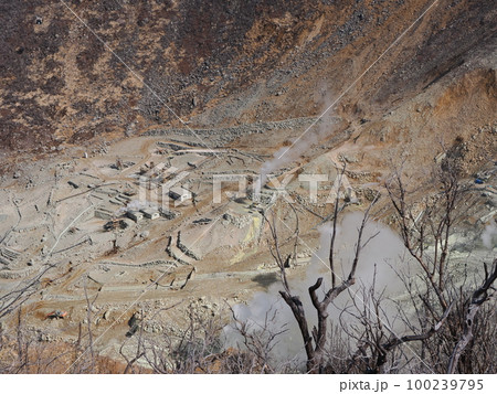 箱根 大涌谷 箱根 大涌谷 100239795