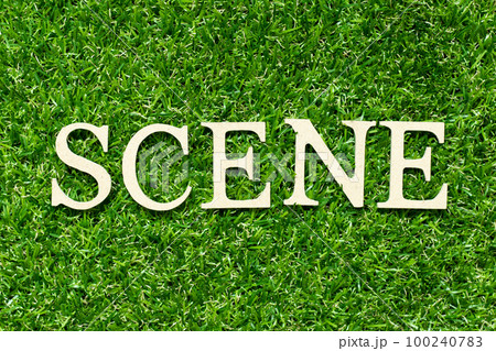 Wood letter in word scene on green grass background Wood letter in word scene on green grass background 100240783