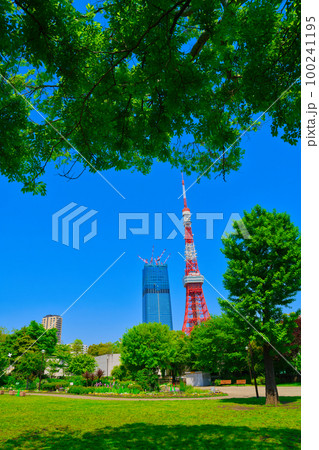 【東京都】5月・爽やかな青空のゴールデンウイークに東京タワーを家族で観光 【東京都】5月・爽やかな青空のゴールデンウイークに東京タワーを家族で観光 100241195
