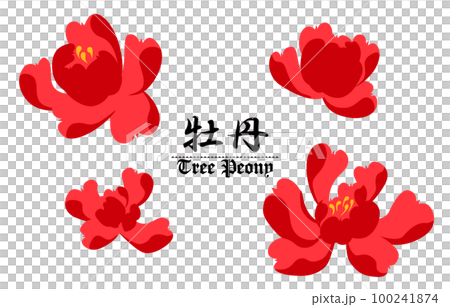 日式牡丹套裝_無輪廓 日式牡丹套裝_無輪廓 100241874