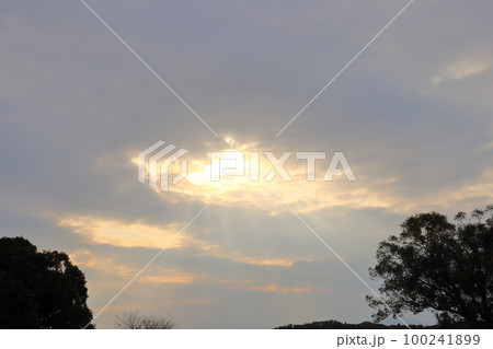 夕暮れの空 夕日 木 夕暮れの空 夕日 木 100241899
