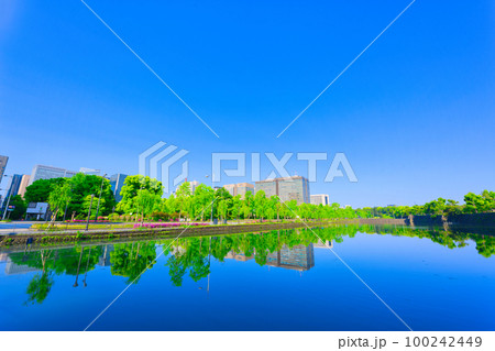 【東京都】5月・爽やかな青空のゴールデンウイークに新緑の東京駅に到着し、観光地を巡る 【東京都】5月・爽やかな青空のゴールデンウイークに新緑の東京駅に到着し、観光地を巡る 100242449