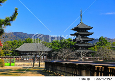 【奈良県】晴天の興福寺（東金堂と五重塔） 100242492