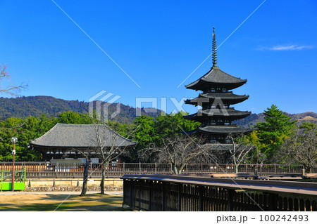 【奈良県】晴天の興福寺（東金堂と五重塔） 100242493