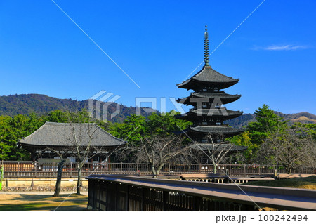 【奈良県】晴天の興福寺(東金堂と五重塔) 【奈良県】晴天の興福寺(東金堂と五重塔) 100242494