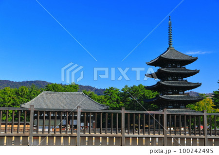 【奈良県】晴天の興福寺（東金堂と五重塔） 100242495