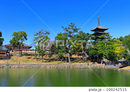 【奈良県】晴天の興福寺（五重塔と中金堂） 100242515