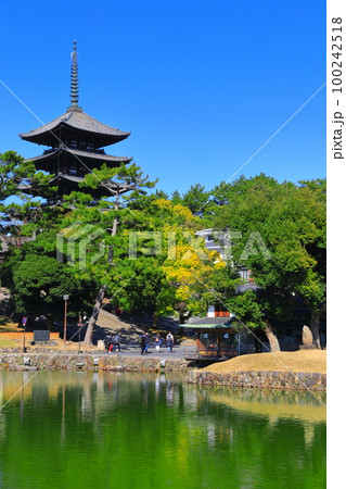 【奈良県】晴天の興福寺(五重塔と猿沢池) 【奈良県】晴天の興福寺(五重塔と猿沢池) 100242518
