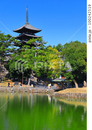 【奈良県】晴天の興福寺(五重塔と猿沢池) 【奈良県】晴天の興福寺(五重塔と猿沢池) 100242519