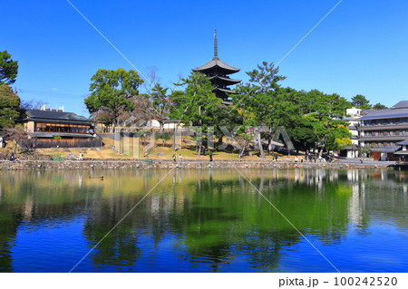 【奈良県】晴天の興福寺（五重塔と猿沢池） 100242520