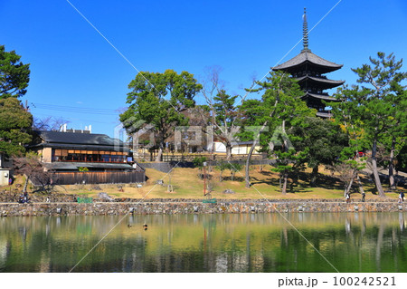 【奈良県】晴天の興福寺(五重塔と猿沢池) 【奈良県】晴天の興福寺(五重塔と猿沢池) 100242521