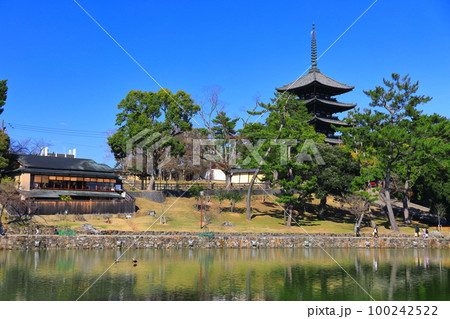 【奈良県】晴天の興福寺（五重塔と猿沢池） 100242522
