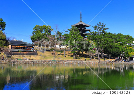 【奈良県】晴天の興福寺（五重塔と猿沢池） 100242523