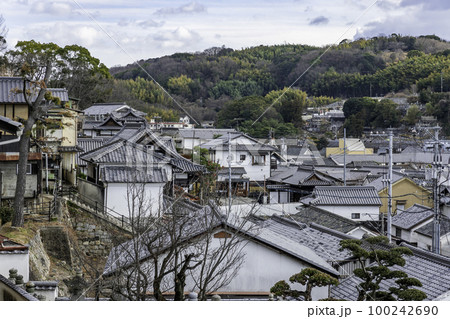 倉敷美観地区　街並み　岡山県倉敷市 100242690