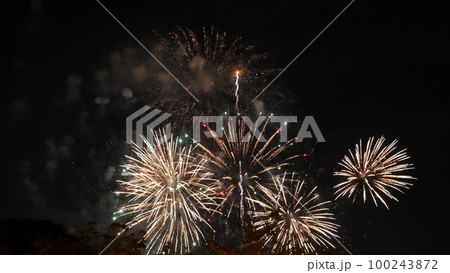 Golden Firework celebrate anniversary independence day night time celebrate national holiday. Countdown to new year 2023 party time event. Happy new year 2023, 4th of july holiday festival concept 100243872