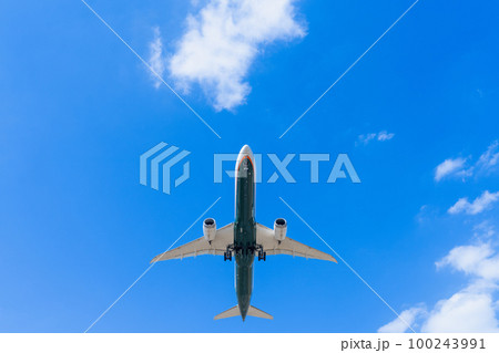 《飛行機》ボーイング Boeing 787-8 787-10 100243991